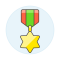 streamlinehq-medal-star-rewards-400